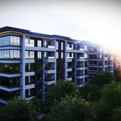 level-1.jpeg